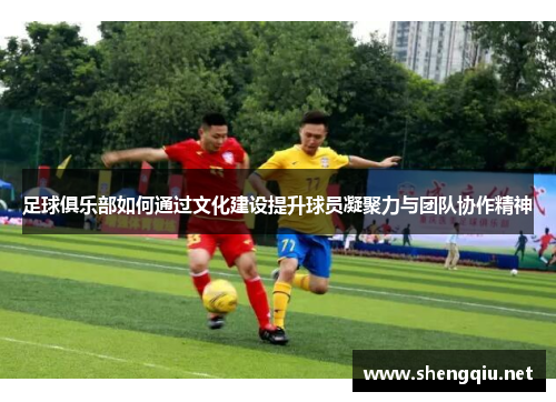 足球俱乐部如何通过文化建设提升球员凝聚力与团队协作精神